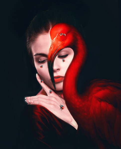 Photograph Diana Ivanova Symphony Of Silence on One Eyeland